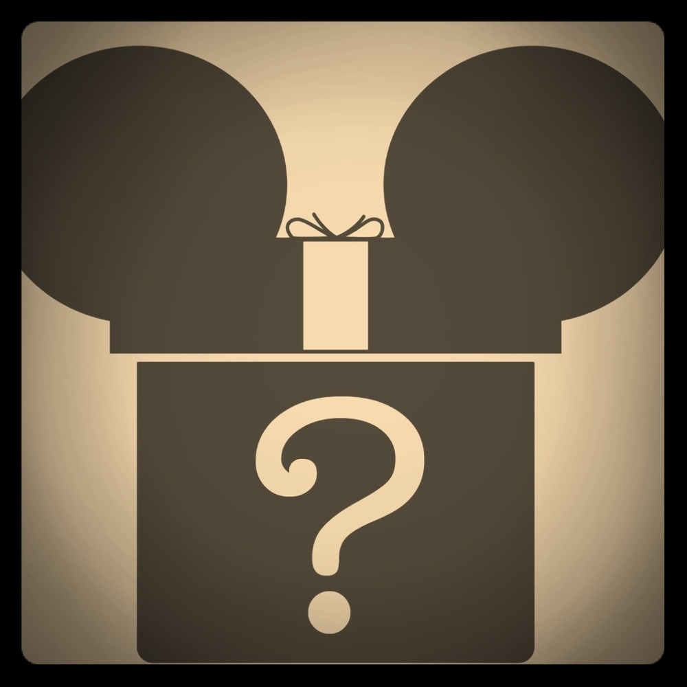 Disney Mystery Box